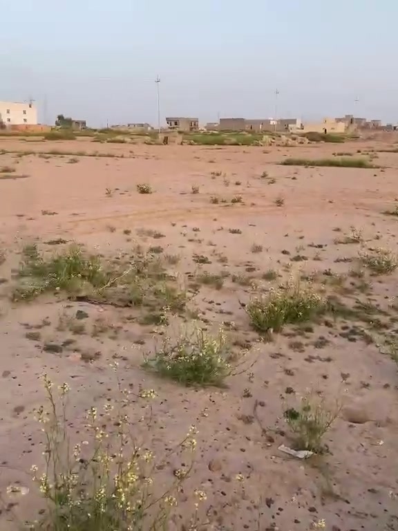 السلام عليكم قطعة ارض  ركن  ورا جامعة الحضاره طابو زراعي 300 متر يرهم بيع 200 او كلها  حي الفرسان الموقع جدا مميز وهادء
سعر الكلي ب 28
رقم ***********

