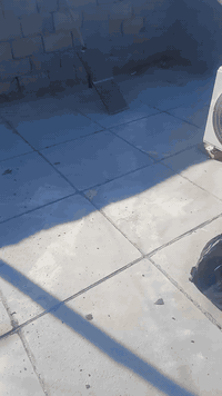 عمل عادت ماستك كوي وحرك ومد من جديد لتواصل ***********
