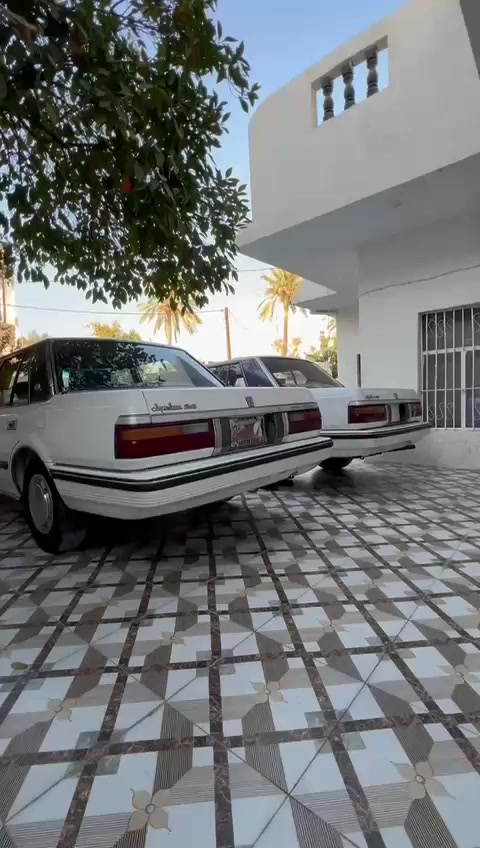 سوبرموديل٨٤
٨٥ مكفولات ***********على وضع الشركة بغدادفلكة حي النصر
