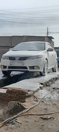 سيراتو • ٢٠١٢ • بدون صبغ