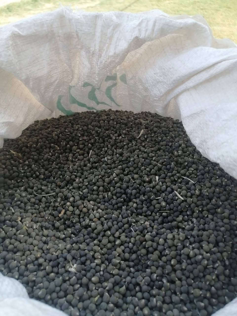 السلام عليكم
متوفر بذور باميه درجه اولى متعهد بيها 
للحجز والاستفسار المراسله خاص او الاتصال ع الرقم *********** 
مكاني واسط - العزيزيه
