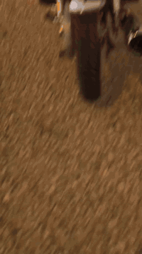 دراجه نامه شبه شلامجه موديل 2025 الدراجه نضيفه كلشي شغال بيها المكينه ما مفتوحه وتجي وتفحص بيدك دراجه اي نقص ما بيها سعر 725 وبيها مجال بكان بابل محاويل للاستفسار ***********
