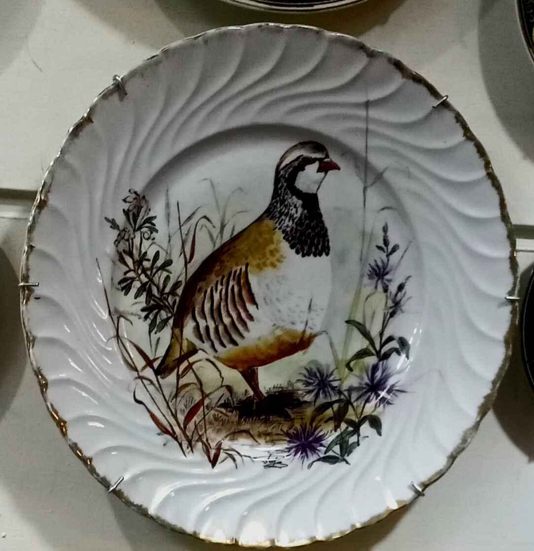 طبق للديكور والتعليق 
رسم طائر
قطر ٢٨سم
السعر ٤٠٠  جنيه 
يوجد شحن وتوصيل
الابراهيميه شارع لجاتيه بجوار صيدليه خليل
٥١شارع نقراطيس 
لمزيد من المعروضات افتح الاعلان واضغط (( تفاصيل البائع )) الاسكندرية, مصر


**إذا كنت صاحب هذا الإعلان وتريد حذفه لأي سبب، رجاءا أرسل رسالة إلى الدعم الفني**