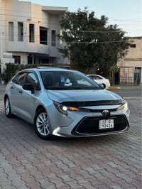 كورلا LE • وارد كندي • ٢٠٢٢