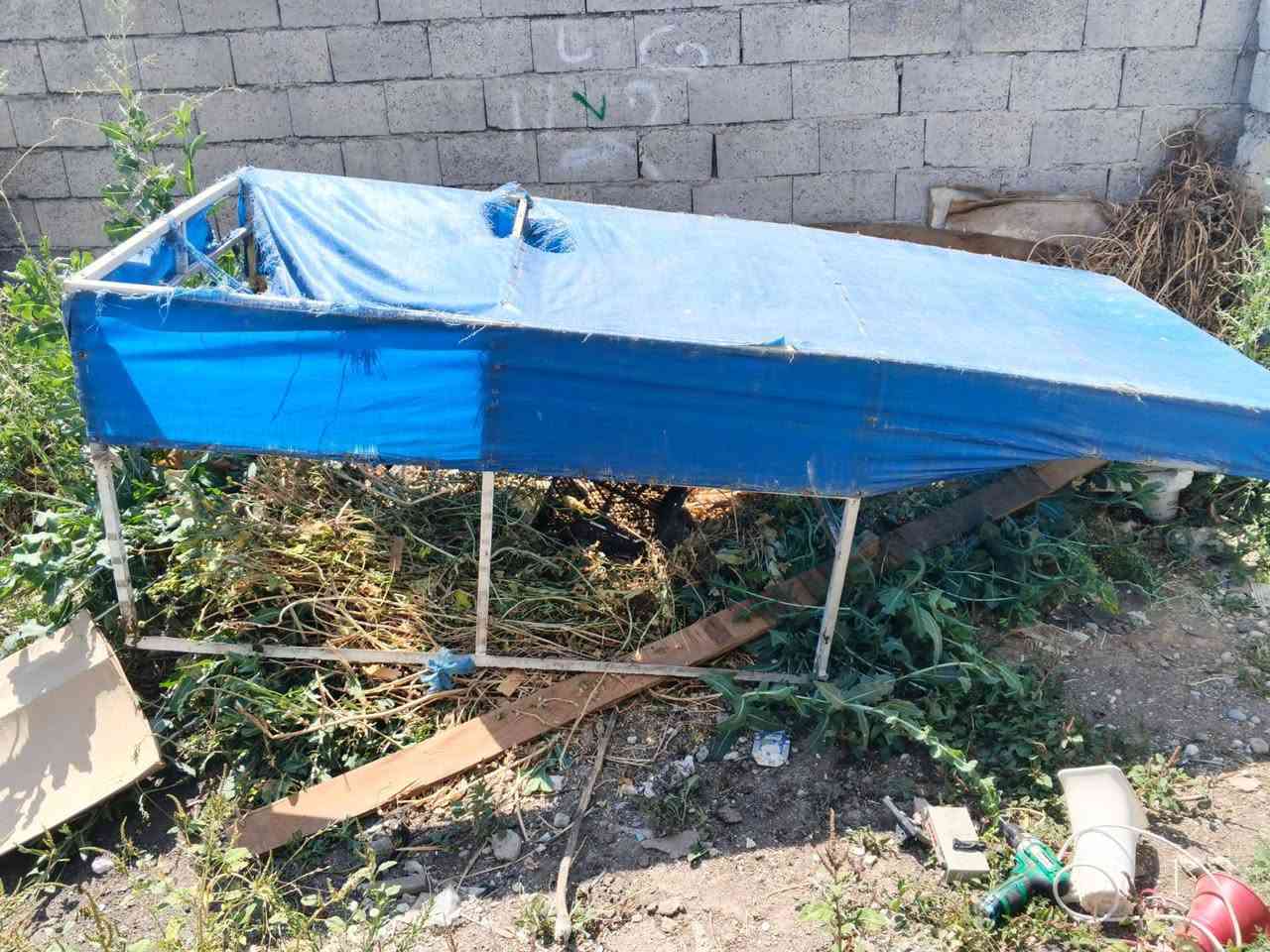 جنج لبيع مال مخضرالسعر45بي مجال***********
