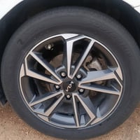 ويل فورتي • مراوس بويل • مقاس ١٧/١٨