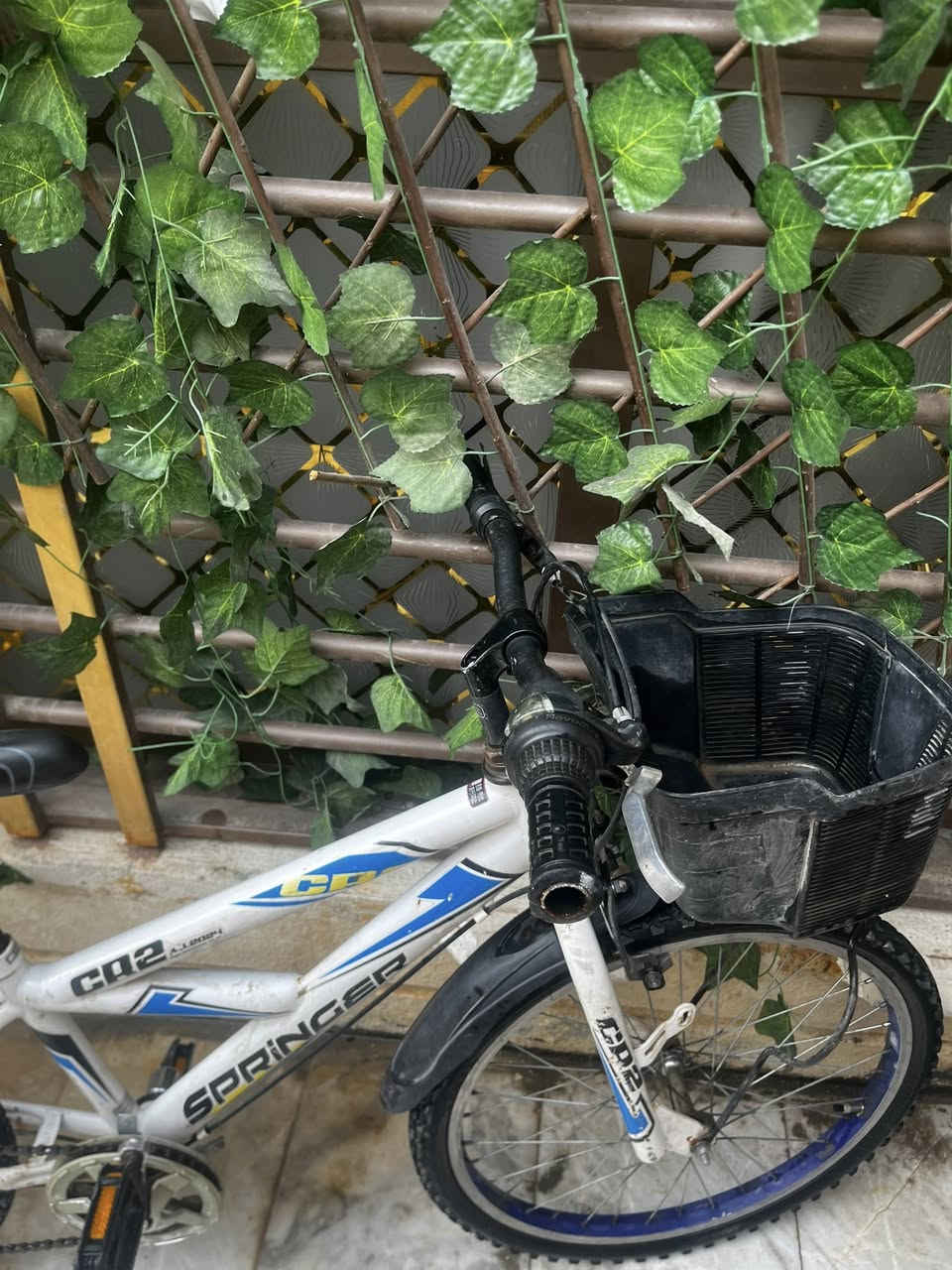 بايسكل ياباني للبيع قياس٢٢ كربلاء السعر ١٠٠مع المجال


**إذا كنت صاحب هذا الإعلان وتريد حذفه لأي سبب، رجاءا أرسل رسالة إلى الدعم الفني**