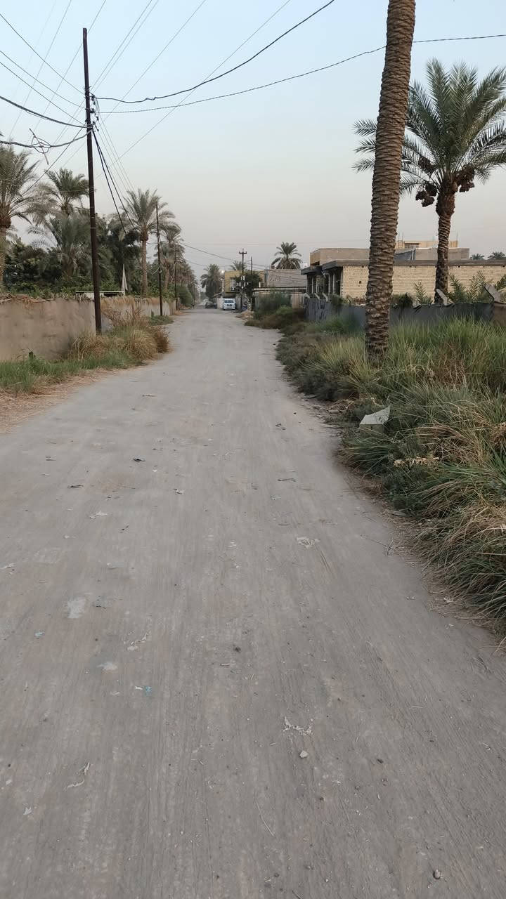 اعلان••••••••••••؟👋
قطعه ارض للبيع 

___________________
السريدات القديمة المدخل الاول شارع الجزيره السياحية مربع ثالث

مساحه الارض 500متر____ 

واجه 15متر ____

نزال 34متر____
♤______ع شارعين صايره ___////________//
 السعر خاص 
●●●●●●●●●●●●●●●

للاستفسار حول الموضوع اتصل على الرقم ***********
