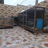 للبيع/ قفص عدد أثنين /07703778751