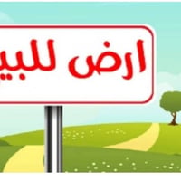 حله نزلت سعد بيجو • ٥٢دونم • طابو زراعي