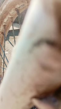 دراجة • مكفولة عن سرقة • الديوانية حي العسكري