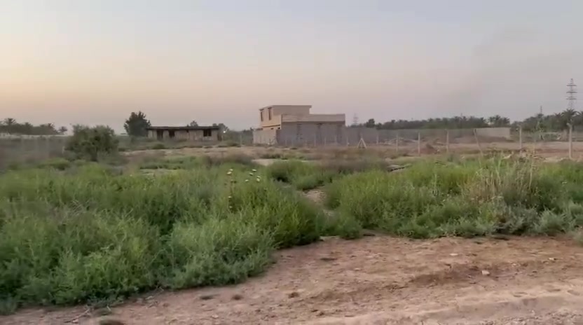 السلام عليكم للبيع دونم طابو ملك صرف زراعي

الدونم حلو مرتب سكني جميع الخدمات متوفرة 

الجبهة 27والنزال 78 يبعد عن الجزيره 10دقايق 

اللاستفسار الاتصال على الارقام 👇🏻👇🏻

                     قصي العبيدي ***********

                   أبو ديار الشريفي ***********

                   مکتب البيان للعقار
