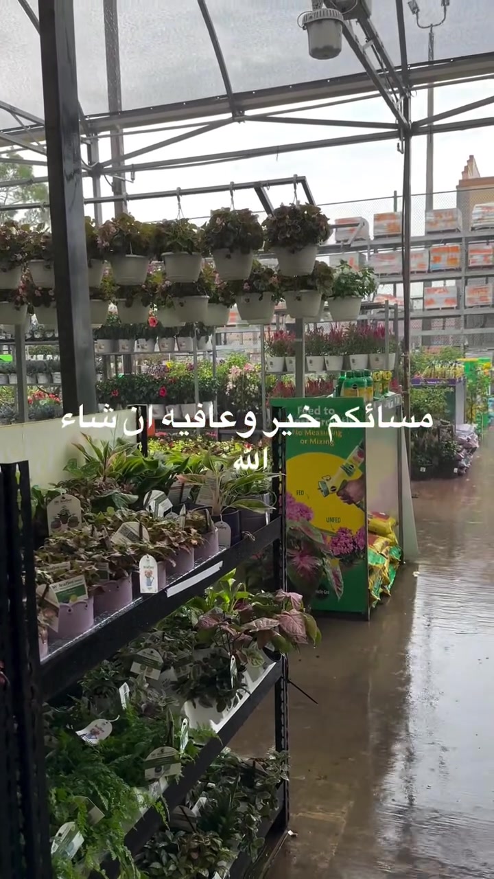 مسائكم خير وعافيه ان شاء الله


**إذا كنت صاحب هذا الإعلان وتريد حذفه لأي سبب، رجاءا أرسل رسالة إلى الدعم الفني**