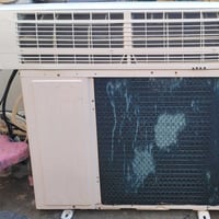 سبلت • شونك • ٢ طن