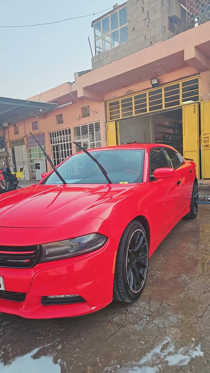 دوج جارجر 2017 sxt🚘🚘
كير محرك اكسل كهربائيات كله كفالة عامة
لون مميز احمر
رقم سليمانية 

السعر : 195 🤖🤖

مواصفاتها 

تو ويل
شاشة كبيرة
كشنات كهرباء 
كشنات تدفئه + تبريد
مري هيتر
تشغيل عن بعد+دخول ذكي
بصمة ابواب وصندوق  
داخله كلين السياره 

ملاحظة // السيارة بيها اربع قطع صبغ بدون دواخل الضربه موضحه بلصور
بجم كبس 

للاستفسار خاص او
***********
***********
واتساب او اتصال
