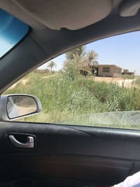 بستان • طابو زراعي • هيكل مسقف ٣٢٠م