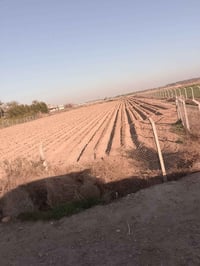 بل صويرة • ١١ دونم • واجهة شط