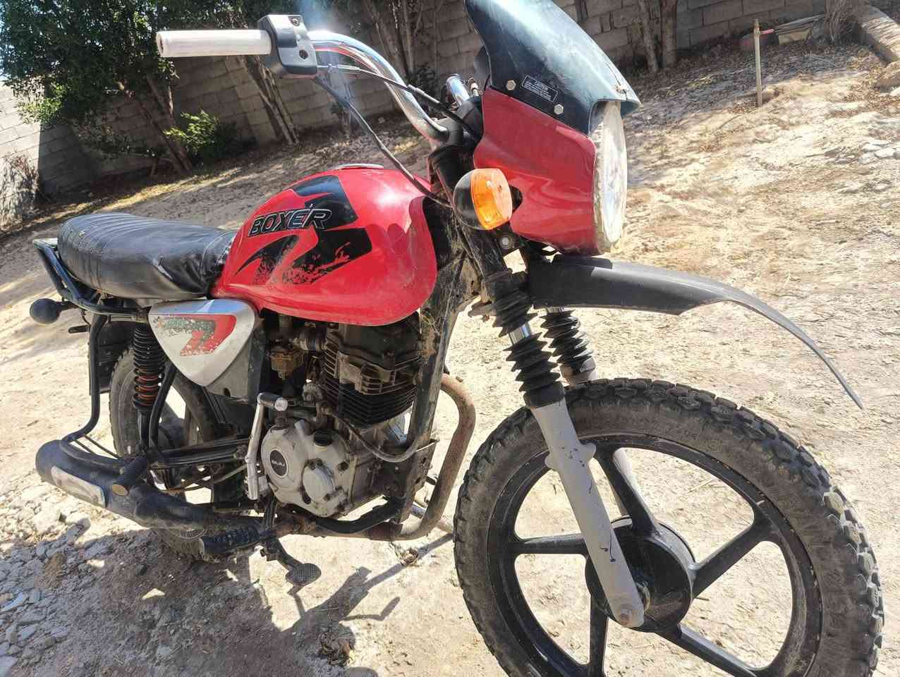 بوكسر موديل 18
اوراق اصولي
كهربايئات شغاله كله جديد جوزه ضفير و مجامع و اشيار تخم
 صدر دبلات  وياله  نضيفات كلش
الدراجه طفت وهيه تمشي
ابيع دراجه كايمه او مراوس
السعر 350وبيه مجال قليل 
 المكان كوت سيد شاطي 
***********
