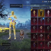 حساب ببجي عالمي • كربلاء • حساب مرتب