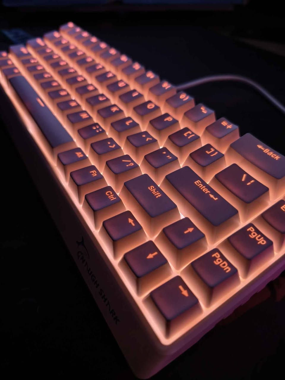 GK GAMAKAY x NaughShark NS68 
کیبۆردێکی ماگنێتیکی تایبەت، زۆر خێرایە بۆ گەیمینگ، وە سەوتیشی زۆر خۆشە بۆ تایپ کردن.
بۆ نرخ نامە بنێرن🤍
Rapid Trigger Tri mode Gaming Keyboard, 
65% Hall Effect Mechanical Keyboard, 
8KHz Polling Rate 0.01mm RT, Snap Tap, Outemu Peach Crystal Magnetic Switch السليمانية, العراق


**إذا كنت صاحب هذا الإعلان وتريد حذفه لأي سبب، رجاءا أرسل رسالة إلى الدعم الفني**