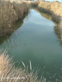 ارض زراعيه البيع 30دونم مع قطاسات  الشراي يتصل على هاذه الرقم 07850806...