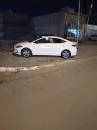 النترا ٢٠١٧ • فول خليجي • كشنات جلد