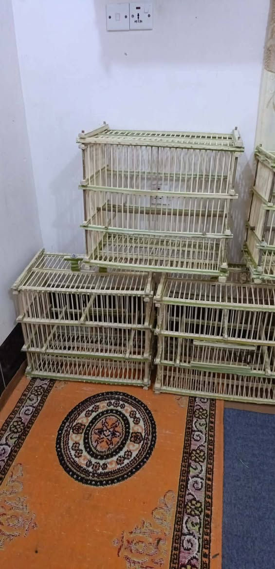 سلام عليكم ورحمة الله وبركاته
متاح اقفاصه بلابل تمر
شغل ايد الأخ  أبو أحمد سامان جبار 
 مختلف الأسعار اكو ب 10  و 15 و 20  كلشي وبسعره  عنوان ناحيه جباره ***********   جمله والمفرد
