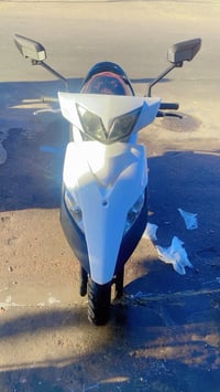ثعلب • جديد • مامفتوح