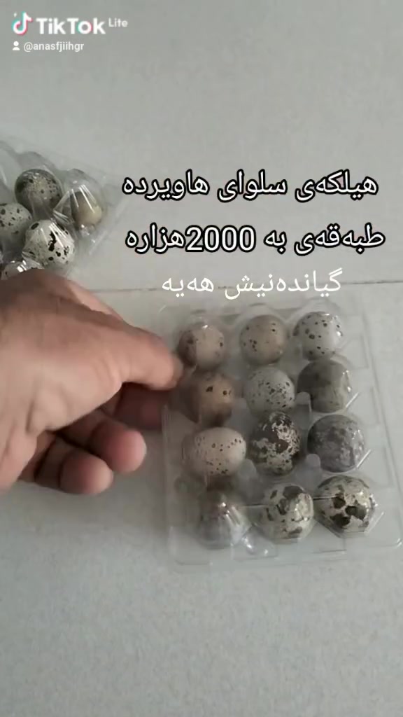 ***********
