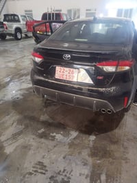 2025((07504687043