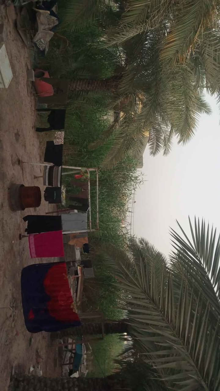 بيت للبيع عقد 25 مساحه 900م البناء 375م   3غرف وصاله ومطبخ وصحيات داخليه وصحيات خارجيه المضيف 75م  *********** Singapore
