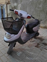 دراجة منغولية • تواير جديدة • كربلاء