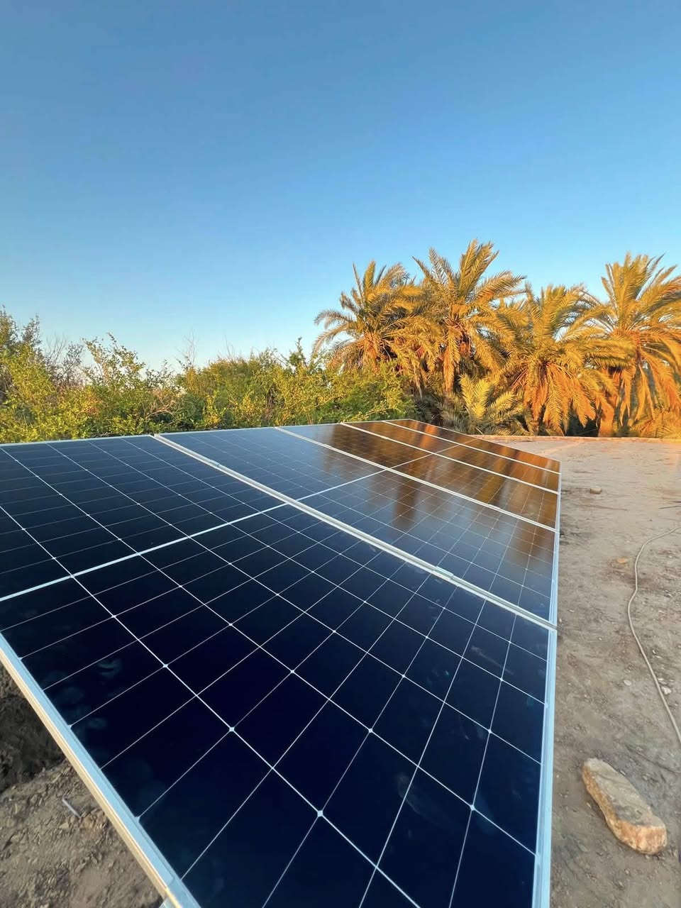 �☀️ عندما تجتمع الجودة الحقيقية مع الخبرة في التنفيذ، تكون النتيجة منظومة يُعتمد عليها لسنوات…

تم بعون الله تجهيز وتنصيب منظومة طاقة شمسية بقدرة 10 أمبير للأخ راسم تركي في قضاء الدغارة، بمنظومة مصممة لتوفير طاقة مستقرة وأداء عالي يتحمل ظروف التشغيل المختلفة.

✅ بطارية بكفاءة عالية وضمان 5 سنوات
✅ انفيرتر بمواصفات متطورة وضمان 5 سنوات
✅ ألواح شمسية ذات إنتاجية ممتازة وضمان 15 سنة

نحن لا نركّب مجرد منظومة، بل نوفر حلاً طويل الأمد يعتمد على مواد مجربة وضمانات حقيقية تمنح الزبون راحة وثقة لسنوات قادمة.

💡 طاقة أكثر… مصروف أقل… واعتمادية تدوم.

ضوء المستقبل للطاقة الشمسية
عنواننا الجودة… وثقة الزبون هي أكبر إنجازاتنا. ☀️�

للتواصل 
مهندس حمزة:***********
مهندس عباس:***********
