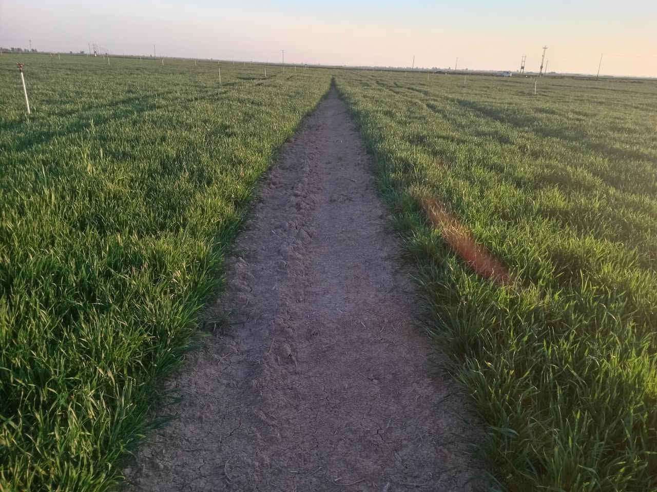 لا أدغال بعد اليوم مع السيلفر 💪🌱

قوة فعّالة في القضاء على الأدغال المزعجة

نتائج سريعة وحماية لمحصولك بإذن

📍 مكتب المنزلة الزراعي

كركوك – الحويجة

الفلاح اسماعيل 

قرية عزبوز 

تاريخ اليوم

@الجميع


**إذا كنت صاحب هذا الإعلان وتريد حذفه لأي سبب، رجاءا أرسل رسالة إلى الدعم الفني**