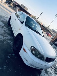 ماكسيما • ٢٠٠٨ • مزاد بابل