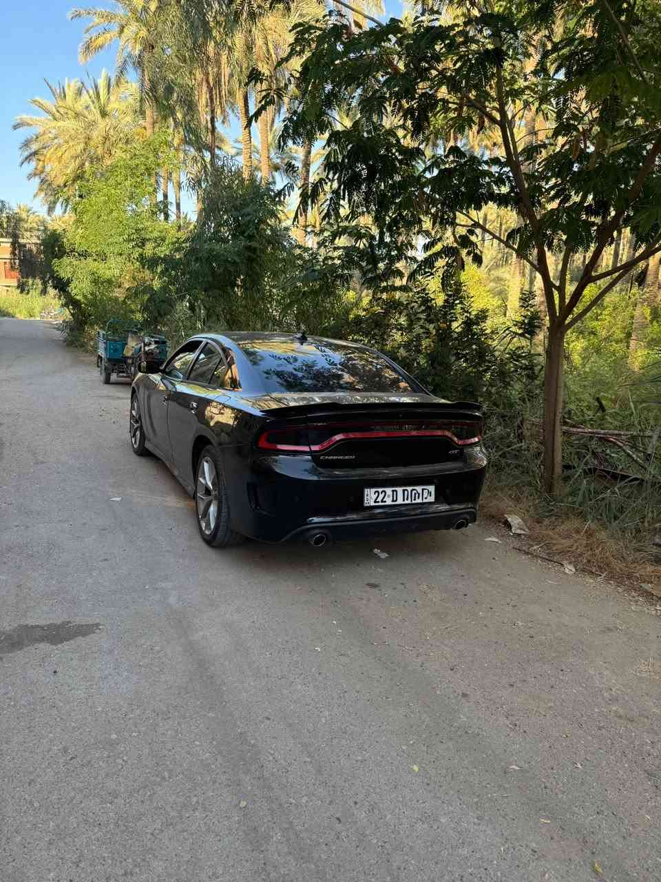 للبيع دودج جارجر GT 2020   وارد امريكي محرك 6 سلندر رقم اربيل باسمي ماشية 80 الف ميل
مواصفات gt
صدر جديد تخم تاير جديد اصلي من وكالة تاير مول
ادامة كاملة 
السيارة مابيها اي نقص 
 صور الحادث والسونار بالمنشور ضربه سطحية بدون ايرباك مكفولة ايرباك ولغد وشواصي ومحرك وكير   مكان ديالى بعقوبة تليفون *********** 
السعر اتصل او علق وادزه الك خاص 
رجائاً قبل لتتصل تاكد من السونار والتفاصيل
