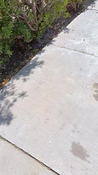 حطب خشن ناشف للبيع 07826017980