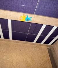 كاروك أطفال • تركي • نضيف