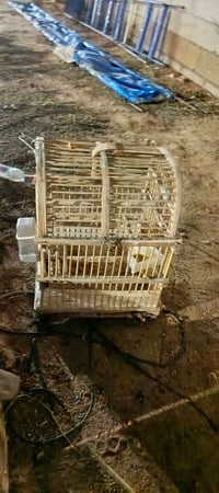 قفاص • للبيع • كلشي