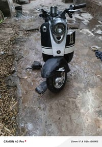 عبد الحليم • شغالة • كوت