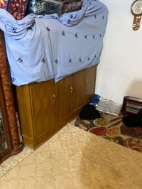 بوفيه • معرض • فيه مجال