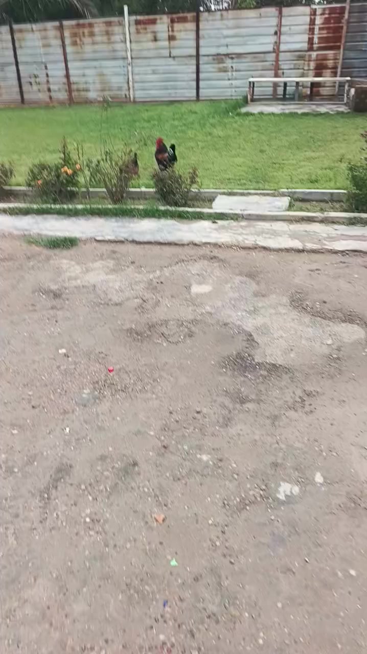 للبيع قطعه 200 متر ***********
***********
