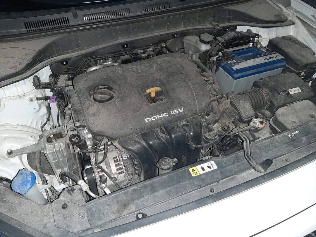 السلام عليكم
كونا 21 امريكي للبيع السعر  160 وبيه مجال 
*********** رقم بغداد
