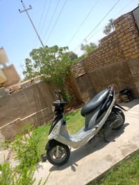 ماكس منغولي • دراجة • بابل المحاويل