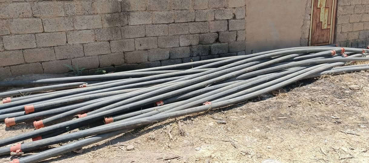 بواري للبيع العدد 80 قسم منهن تركي مع نوزلات عدد 20 تواصل خاص أو 
***********
