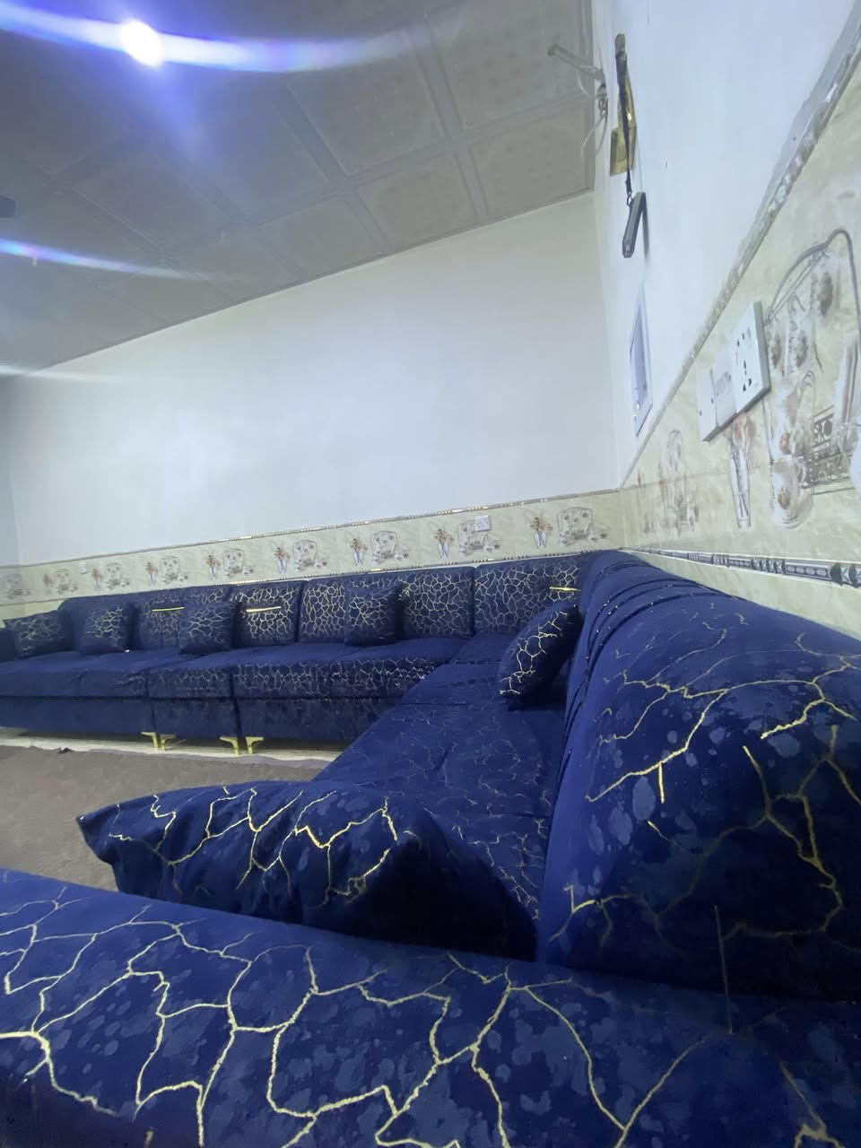 تخم قنفات للبيع ***********واتساب
