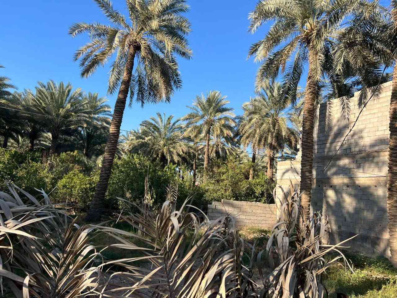 ياالله

للبيع قطعه 200متر في بغداد منطقه الراشديه

نزالت جمال سمكري

كل خدمات بيه تريد 100نطيك  سعر مناسب جدان

لاستفسار تصل رقم او مراسلة ***********

سعر ٢٠٠متر 31بيه مجال
