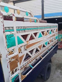 محجر للبيع سعر 250 و بي مجال 07808559990