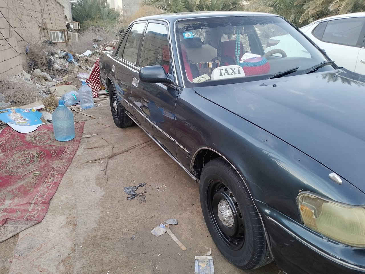 السلام عليكم مارك كربلائي للبيع بسمي مكفوله من الكص ونقل الجنه مصبوغه عام  جماليه-السعر 55,الرقم***********
