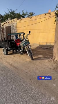 MTR • أوراق أصلية • غماس